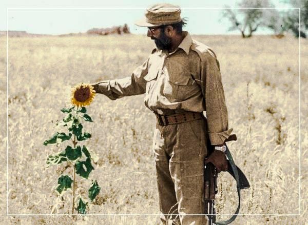 آیت الله غفاری